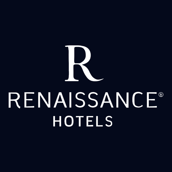 logo renasicne blue dark